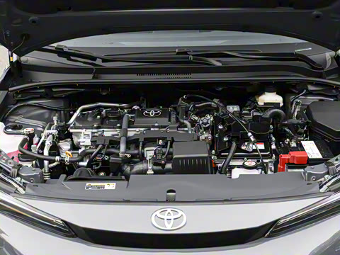 2026�� ����L ���ܵ��˫�� 1.8L ������