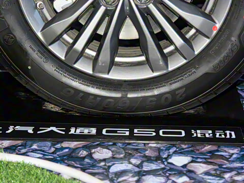 2025�� �Ŀ� �캽��