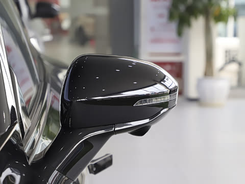 2025�� ���� 650MaxѲ����