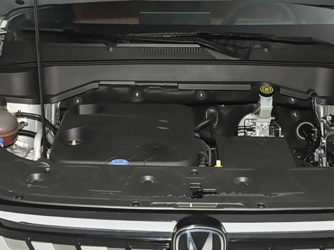 2026�� �ǻ������� 130km ս����