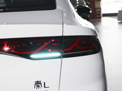 2026�� DM-i 210KM��Խ��