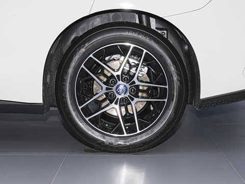 2026�� DM-i 210KM��Խ��