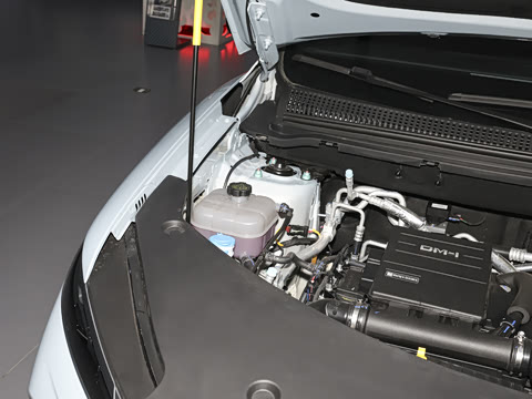 2026�� DM-i 220KM׿Խ��