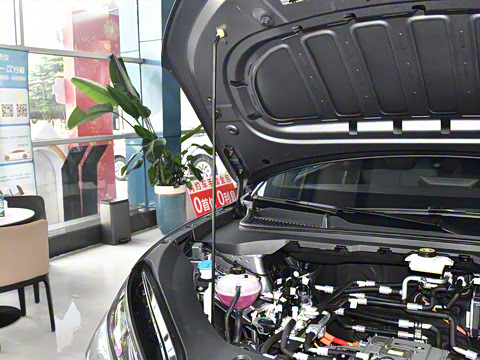 2025�� 450�ǻݳ��а�