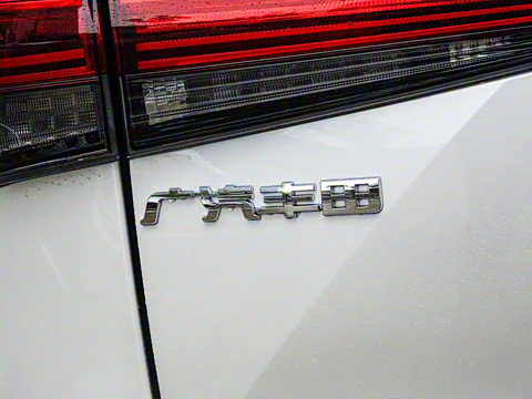 2026�� 2.5L���ܵ��˫���������� 7��