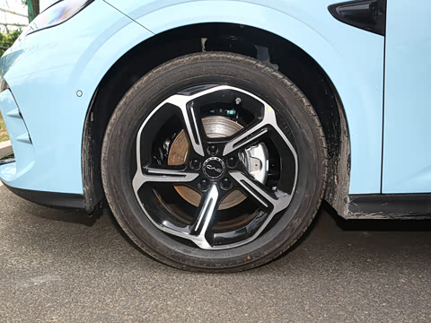 2025�� �Ǽݰ� 505���˰�