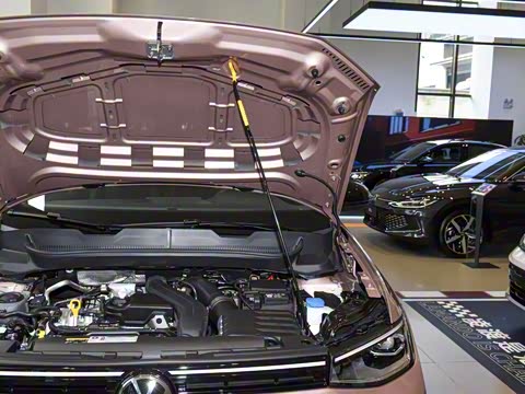 2026�� ���� 300TSI ������