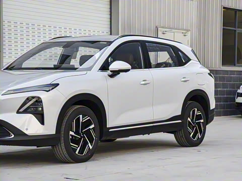 2026�� ������ ������