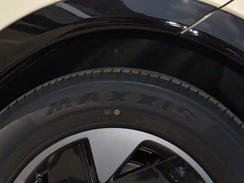 2025�� 602 ������ Max