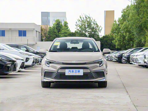 2024�� ���ܵ��˫�� 2.0L ������