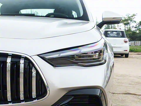 2026�� 60km̽����