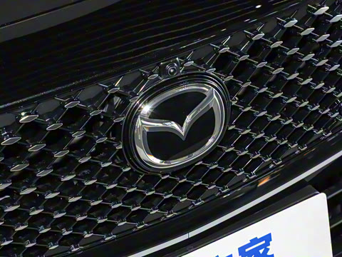 2025�� ����200�����˶���