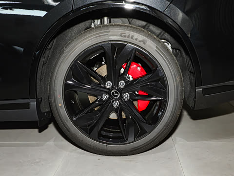 2025�� ����200�����˶���