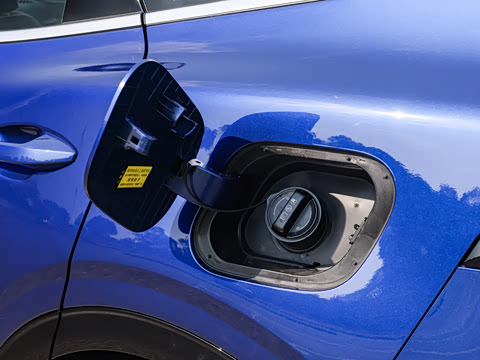 2026�� ����������