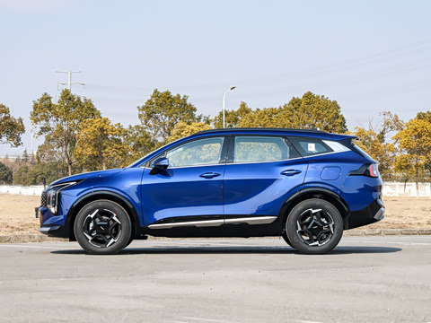 2026�� ����������