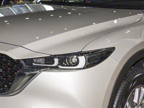 2025�� 2.0L �Զ�����������