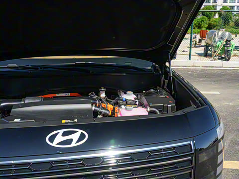 2026�� 2.5T Calligraphy ���ͼ� 6��