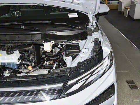 2026�� ������������