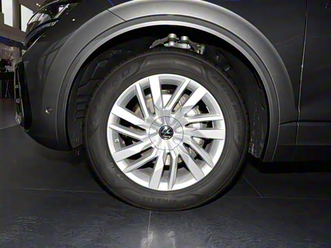 2025�� �Ŀ� 2.0TSI ��Ӱ��