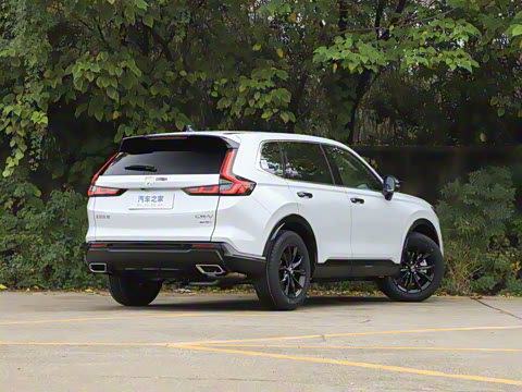 2026�� ȫ��30����ҫ�� 2.0L e:HEV �������