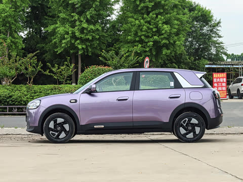 2026�� 310������