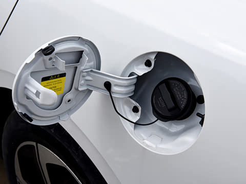 2026�� 1.5L �������� ������