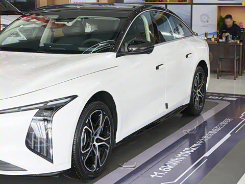 2026�� 565������