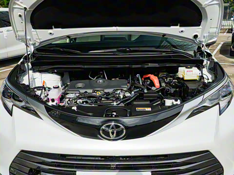 2026�� 2.5L ˫����������