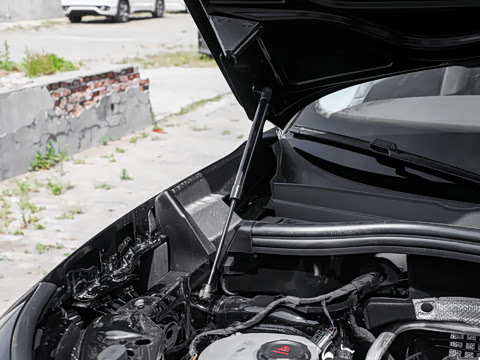 2026�� �Ŀ� ̽��L 300TSI ������Ӣ