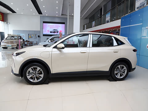 2026�� 565km ������