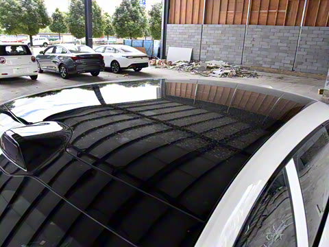 2026�� Elite �����