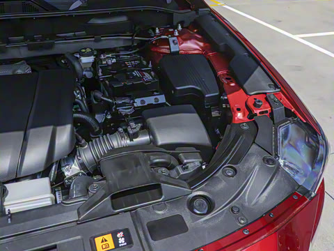 2025�� 2.0L �Զ���������Pro