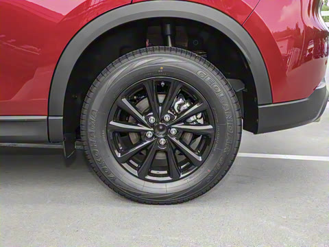 2025�� 2.0L �Զ���������Pro