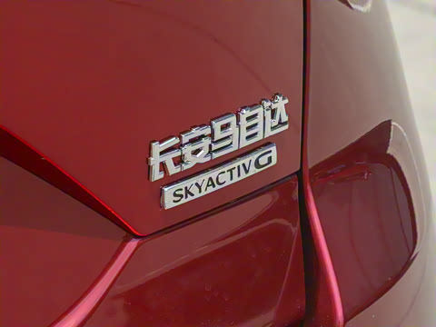 2025�� 2.0L �Զ���������Pro