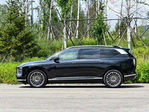 2025�� �Ŀ� 350 Max���������״��