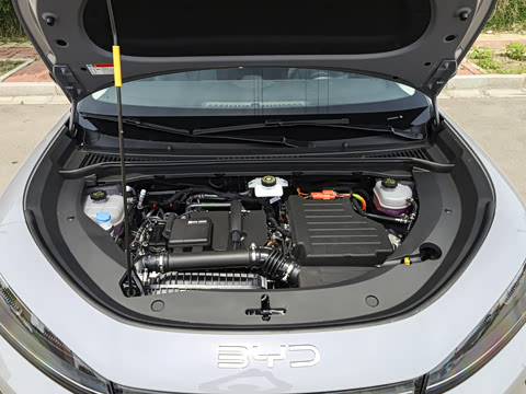 2026�� DM-i 305�Ǻ���