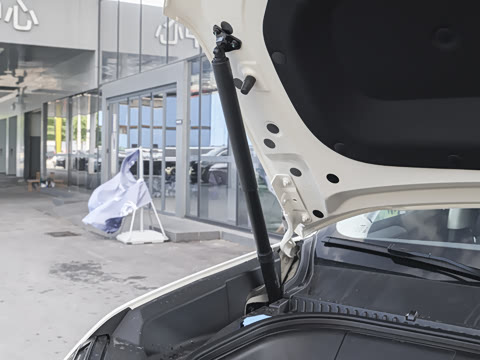 2026�� 565KM ���������