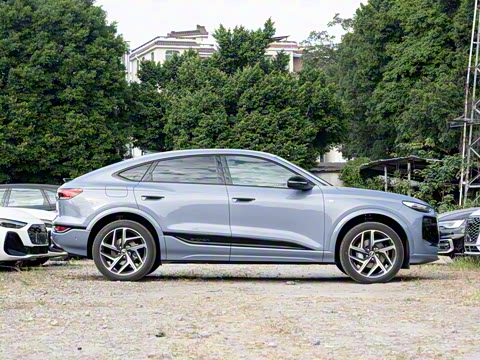 2026�� ����������