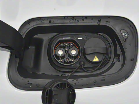 2026�� �콢quattro��