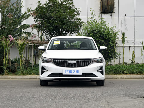 2027�� ���� 1.5L �ֶ�������