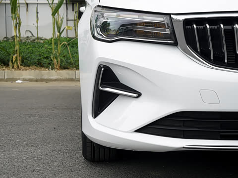 2027�� ���� 1.5L �ֶ�������