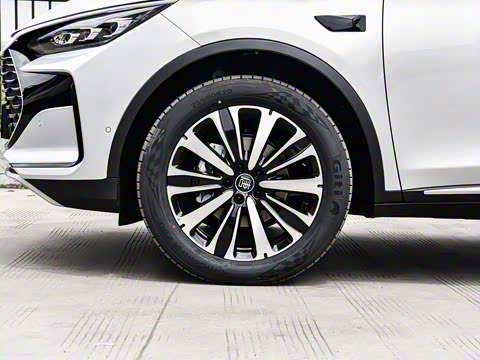 2025�� �Ǽݰ� DM-i 175KM ������