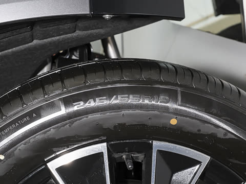 2025�� 205km Pro+��