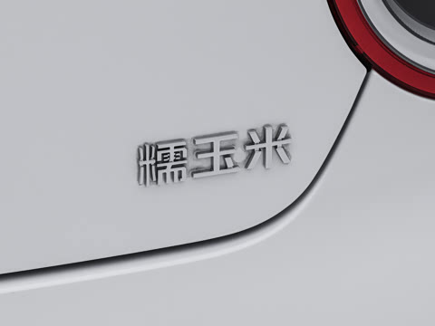 2026�� ���ذ� 205km �ᰮ�� ����