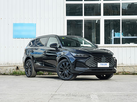 2025�� �Ǽݰ� DM-i 175KM �����