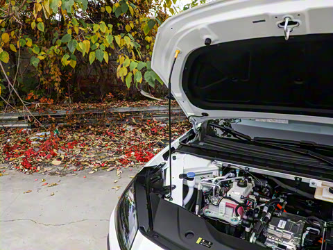 2026�� 650�����