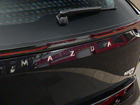 2025�� ����600 Max