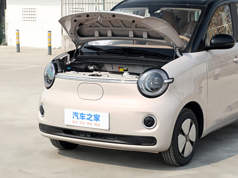 2026�� ����� 205km ������