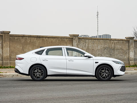 2026�� DM-i 210KM��Խ��