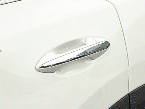 2024�� 2.0T ����������